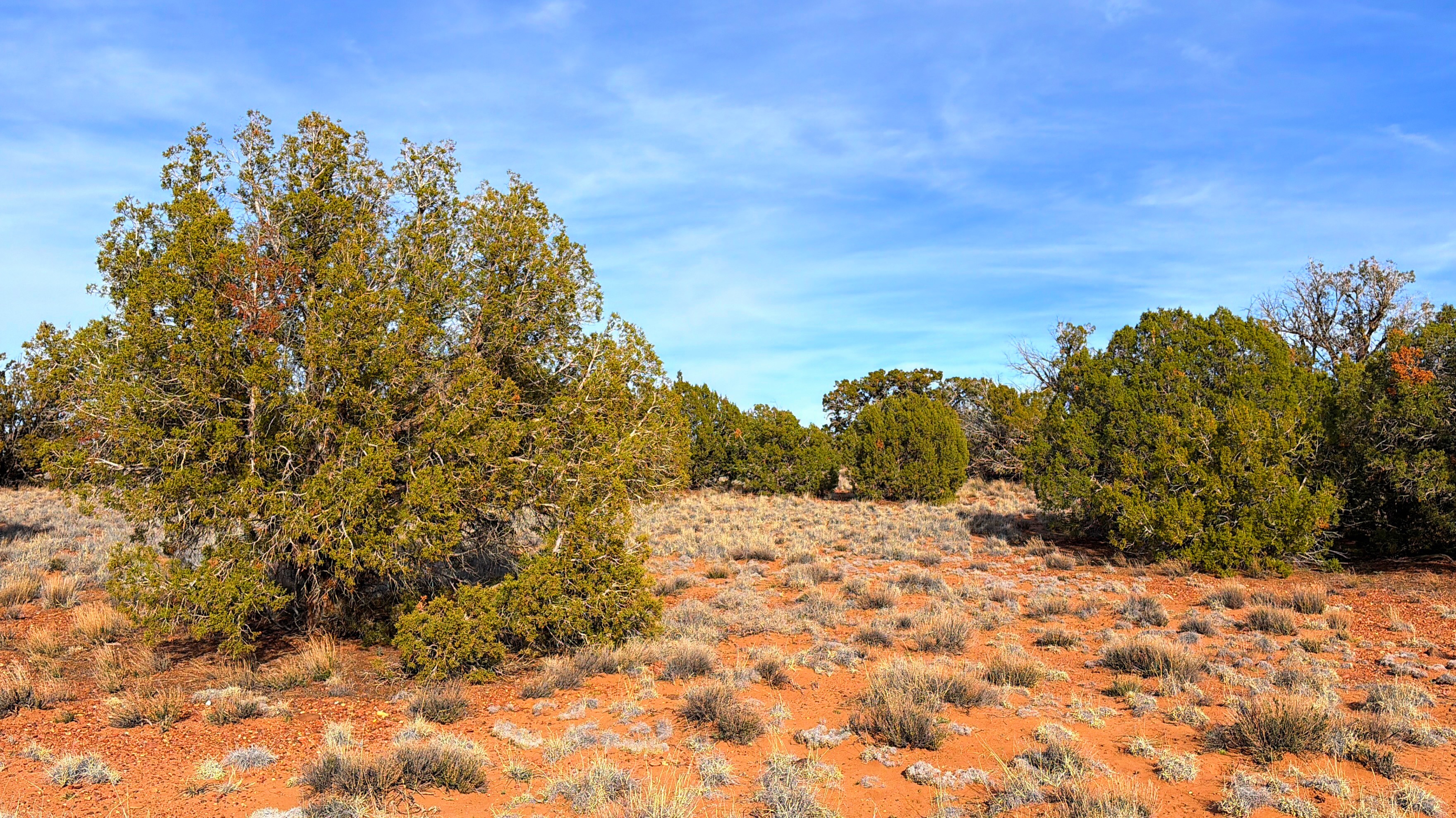 Snowflake AZ — 1.2 acres with financing available, Snowflake AZ — photo 31