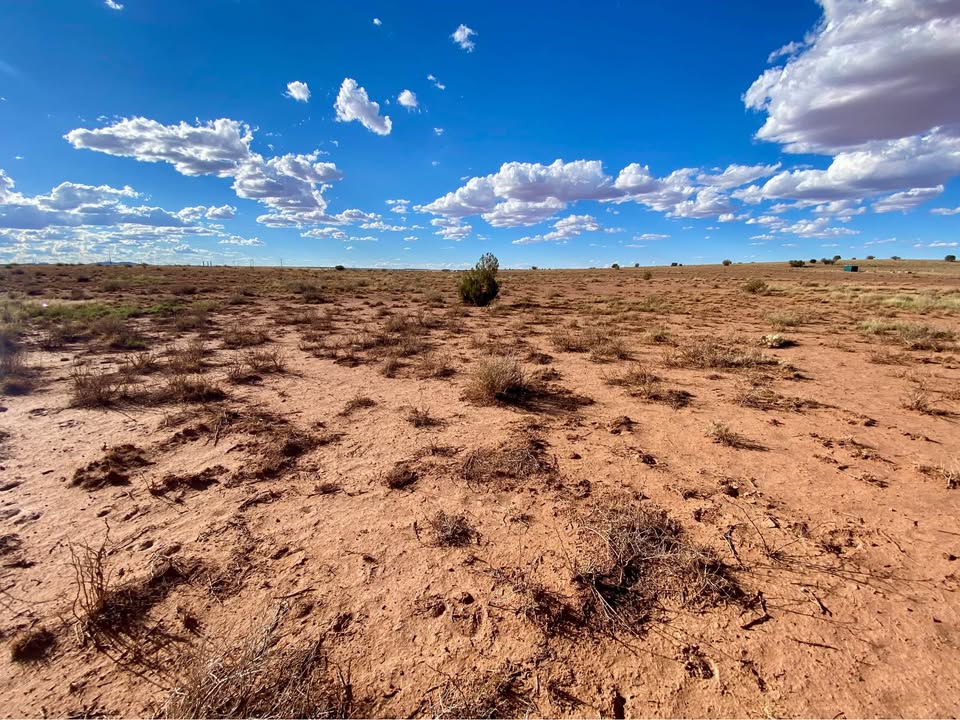 7562 Birch Ln, Snowflake  — 1.26 acres